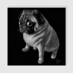 Холст 30 х 30 см Мопсик Очаровашка