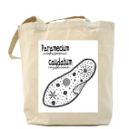  Paramecium&Euglena