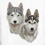 Хаски. Собаки.