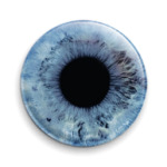eye