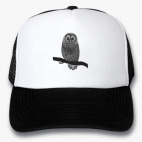 Кепки Trucker