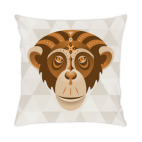 Год обезьяны