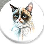 Грустный кот