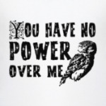 Сова. Лабиринт. Bowie