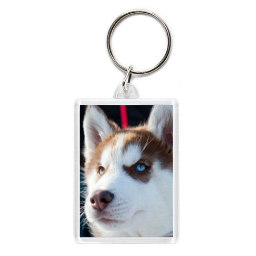 Брелок с принтом Хаски