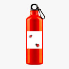 Металлическая бутылка 700 мл UV-DTF