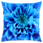 Летние цветы