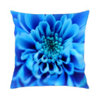 Подушка 35x35 см Летние цветы