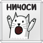 Ничоси Кот