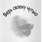 Верь своему чутью