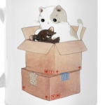 Котята в коробке