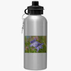 Спортивная бутылка