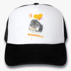 Кепки Trucker