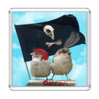 Воробьи-пираты