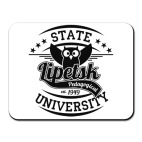 Коврик для мыши LSPU Big Owl