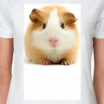 Морская свинка