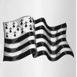 'флаг Бретани'