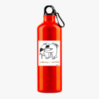 Металлическая бутылка 700 мл UV-DTF