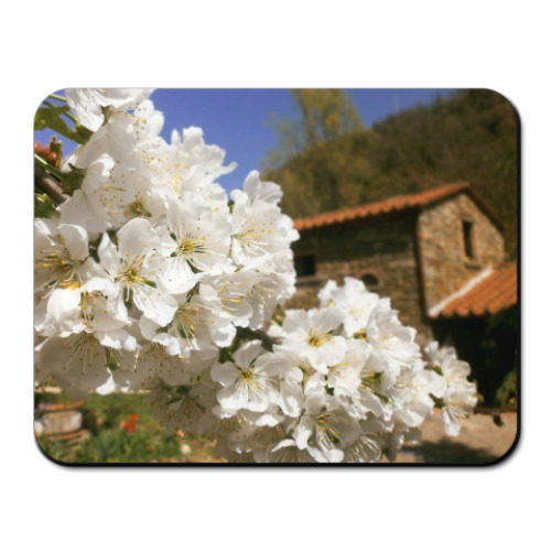 Коврик для мыши с принтом Тоскана. Цветущая черешня