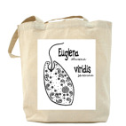  Euglena&Amoeba