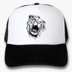 Кепки Trucker
