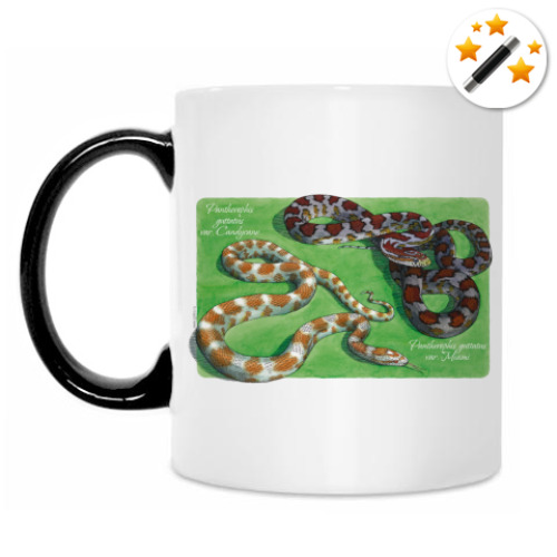 Кружка-хамелеон с принтом E.guttata miami