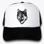 Кепки Trucker