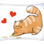 Кот Мягкот, рыжий живот!