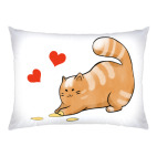 Кот Мягкот, рыжий живот!