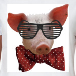 Свинья в очках и бабочке