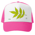 Кепка Trucker (фуксия) Многослойная ветвь