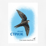 Чёрный стриж