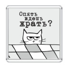 Магнит 6.5 x 6.5 см Опять идешь жрать? Злой кот