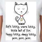 Песня Шелдона Soft kitty