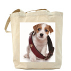 Щенки,щенята и собаки