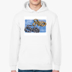 Толстовка худи