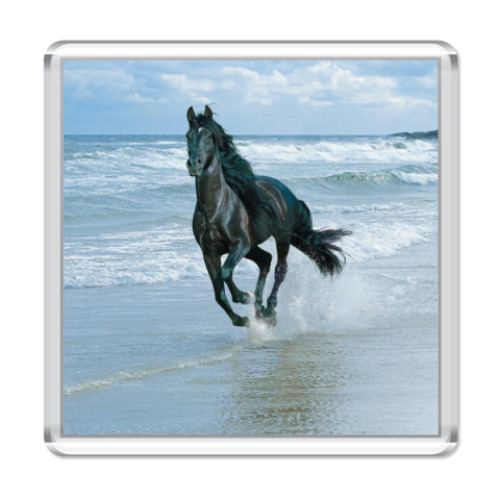 Магнит с принтом Вороной