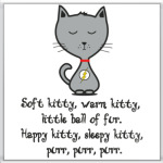 Песня Шелдона Soft kitty