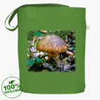 Грибная пора