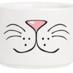 Котомрда