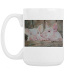 Сладкая парочка символ года