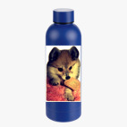 Термобутылка