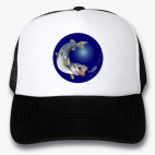 Кепки Trucker
