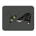 Кошка в сером