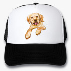 Кепки Trucker