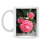 Кружка 330 мл