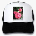 Кепки Trucker