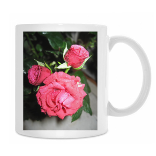 Кружка с принтом Розы