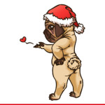 Мопс в шапочке