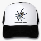 Кепки Trucker